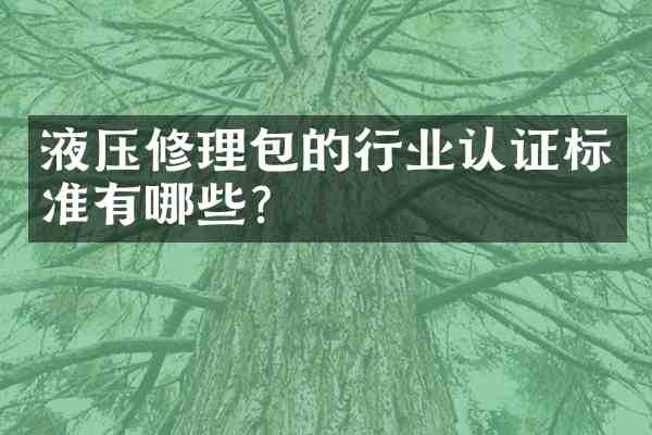 液压修理包的行业认证标准有哪些?