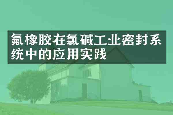 氟橡胶在氯碱工业密封系统中的应用实践