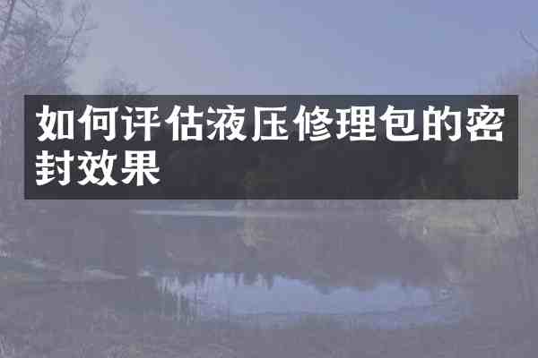 如何评估液压修理包的密封效果