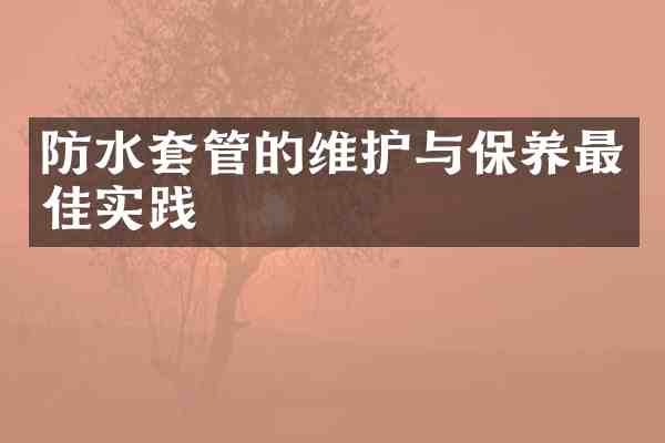 防水套管的维护与保养最佳实践