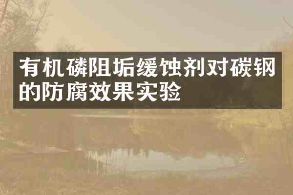 有机磷阻垢缓蚀剂对碳钢的防腐效果实验