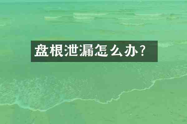 盘根泄漏怎么办？