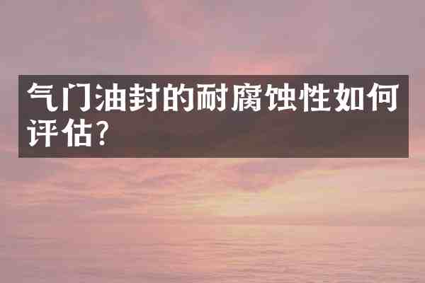气门油封的耐腐蚀性如何评估?