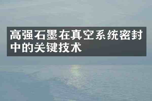 高强石墨在真空系统密封中的关键技术