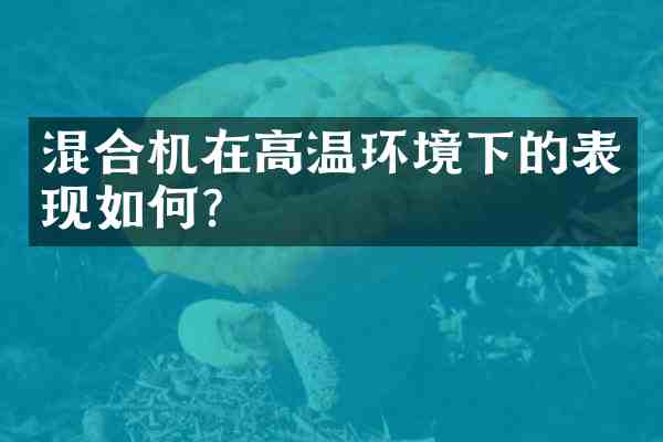 混合机在高温环境下的表现如何？