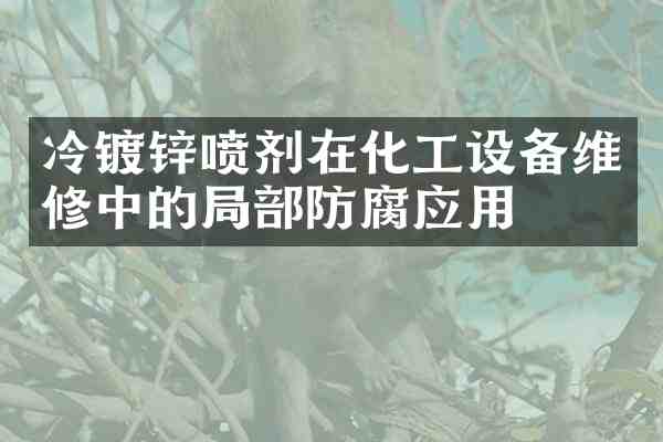 冷镀锌喷剂在化工设备维修中的局部防腐应用