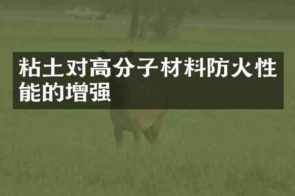 粘土对高分子材料防火性能的增强