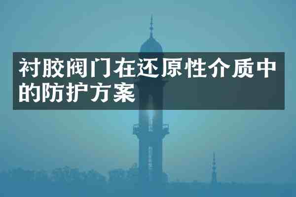 衬胶阀门在还原性介质中的防护方案