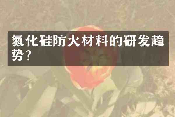 氮化硅防火材料的研发趋势？