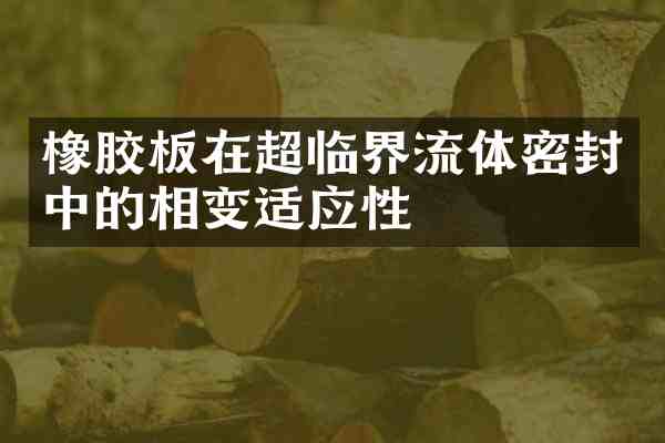 橡胶板在超临界流体密封中的相变适应性
