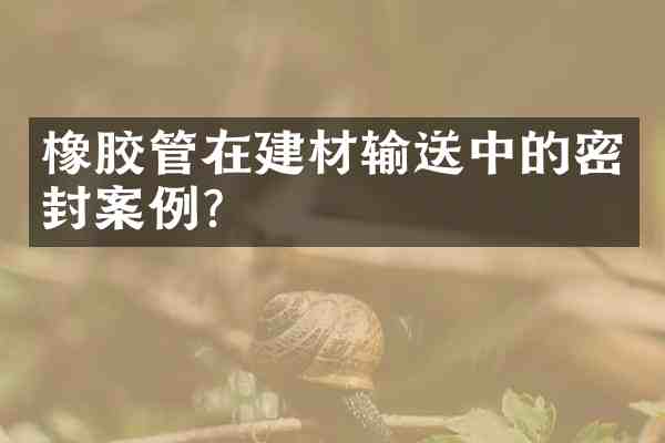 橡胶管在建材输送中的密封案例?