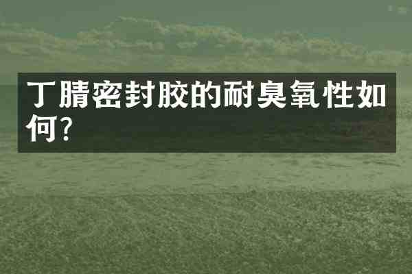 密封胶的耐臭氧性如何？