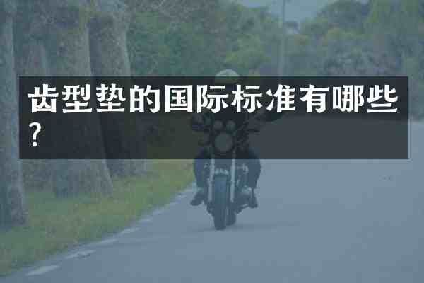 齿型垫的国际标准有哪些?
