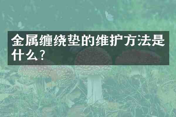金属缠绕垫的维护方法是什么？