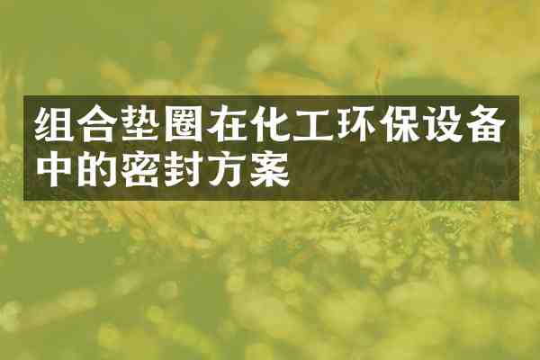 组合垫圈在化工环保设备中的密封方案