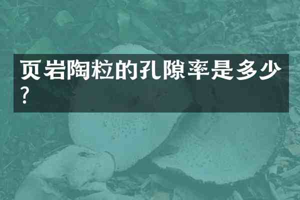页岩陶粒的孔隙率是多少?