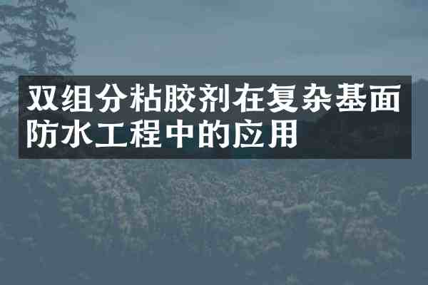 双组分粘胶剂在复杂基面防水工程中的应用