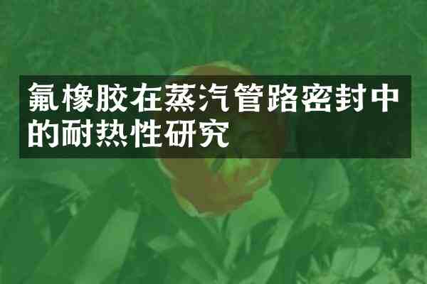 氟橡胶在蒸汽管路密封中的耐热性研究