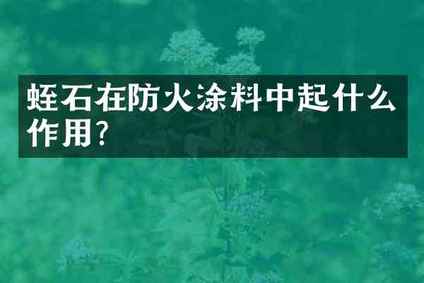 蛭石在防火涂料中起什么作用?