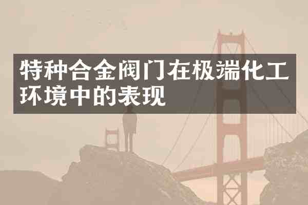 特种合金阀门在极端化工环境中的表现