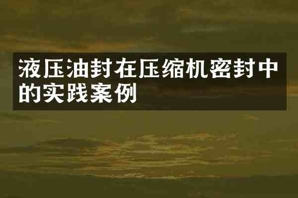 液压油封在压缩机密封中的实践案例