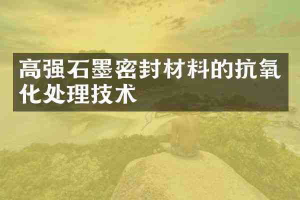 高强石墨密封材料的抗氧化处理技术