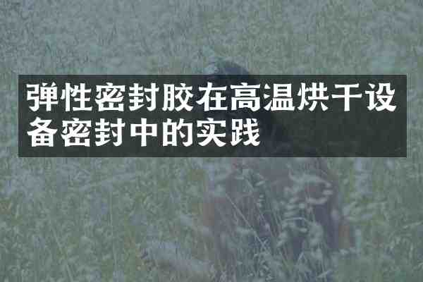 弹性密封胶在高温烘干设备密封中的实践
