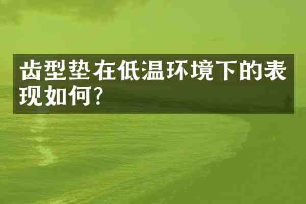 齿型垫在低温环境下的表现如何?