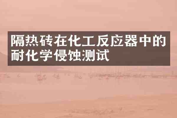 隔热砖在化工反应器中的耐化学侵蚀测试