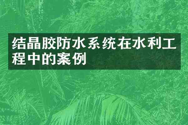 结晶胶防水系统在水利工程中的案例