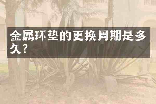 金属环垫的更换周期是多久？