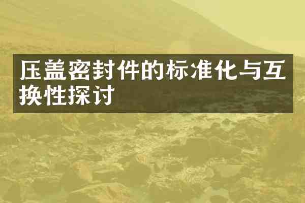 压盖密封件的标准化与互换性探讨