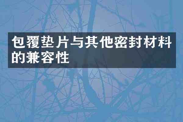 包覆垫片与其他密封材料的兼容性