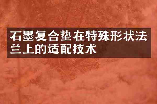 石墨复合垫在特殊形状法兰上的适配技术