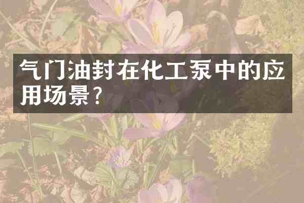 气门油封在化工泵中的应用场景？