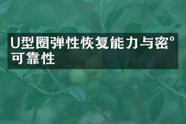 U型圈弹性恢复能力与密封可靠性