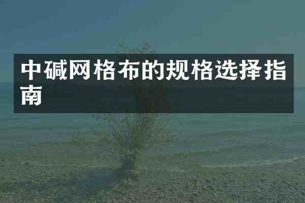 中碱网格布的规格选择指南