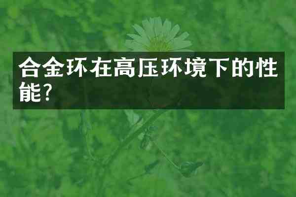 合金环在高压环境下的性能?