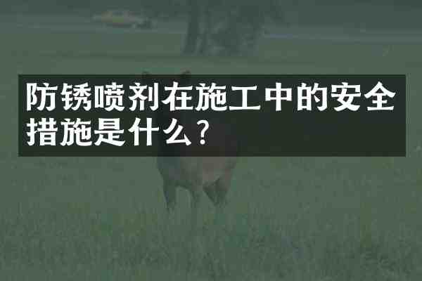 防锈喷剂在施工中的安全措施是什么?