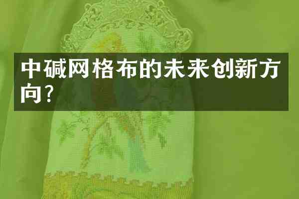 中碱网格布的未来创新方向?