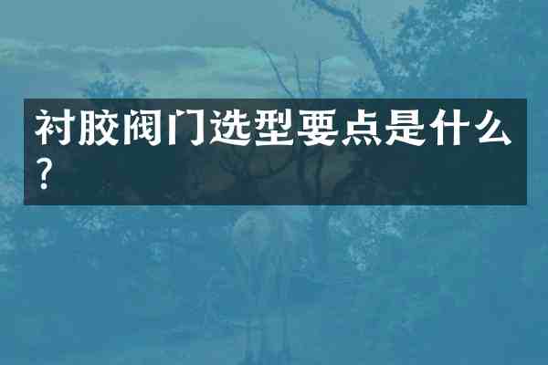 衬胶阀门选型要点是什么？