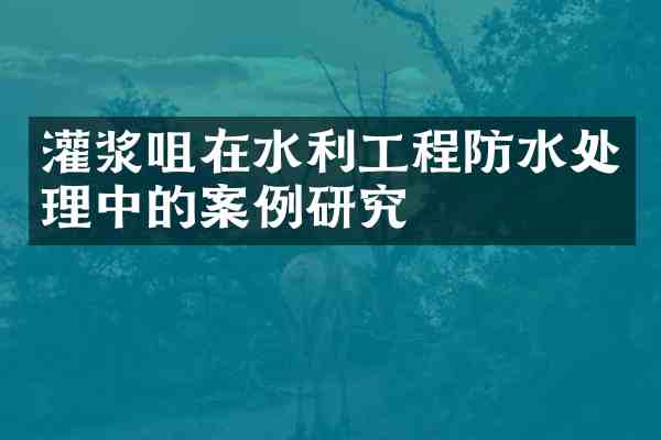 灌浆咀在水利工程防水处理中的案例研究