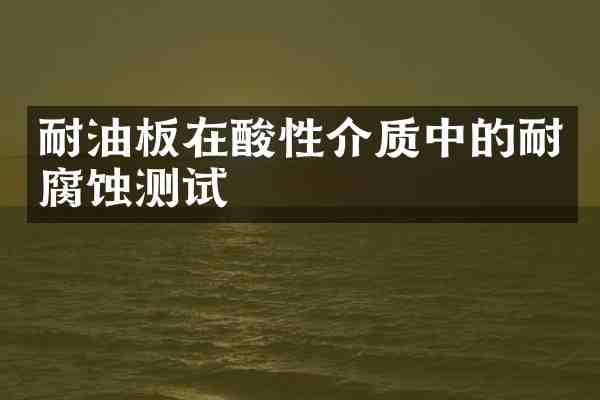 耐油板在酸性介质中的耐腐蚀测试