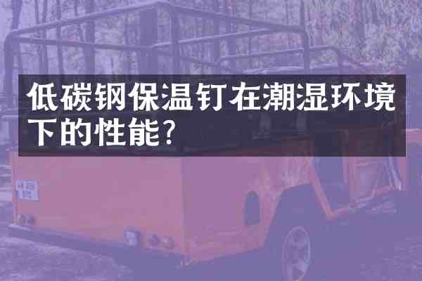 低碳钢保温钉在潮湿环境下的性能?