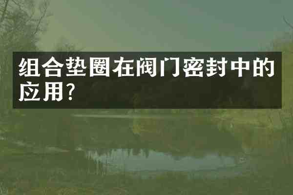 组合垫圈在阀门密封中的应用?