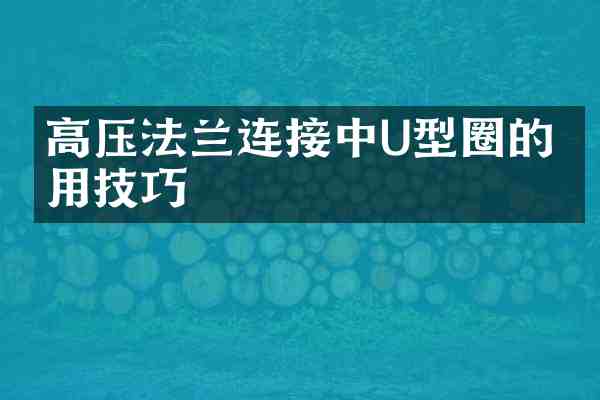 高压法兰连接中U型圈的应用技巧
