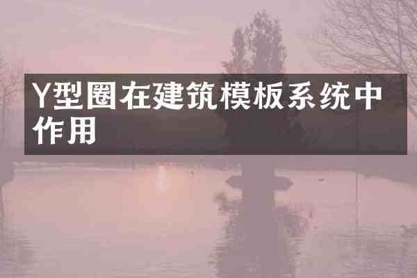 Y型圈在建筑模板系统中的作用
