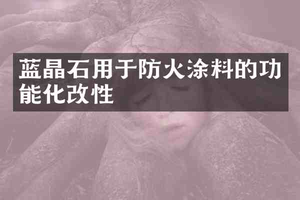 蓝晶石用于防火涂料的功能化改性