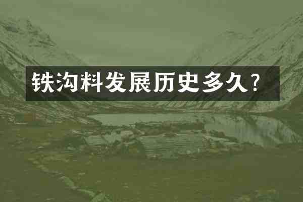 铁沟料发展历史多久？