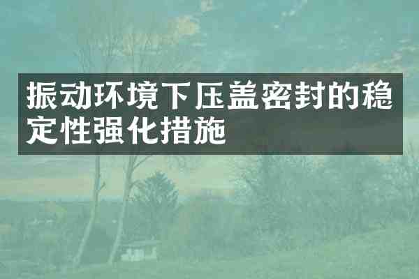 振动环境下压盖密封的稳定性强化措施